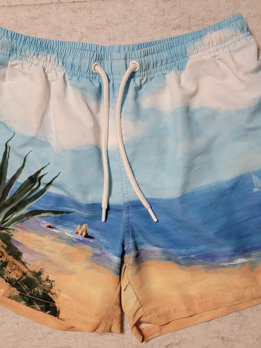 Zara Mens Large Swim Trunks Shorts Scenic Beach Landscape Print Ocean Sailboat